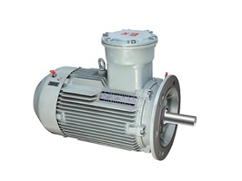 YBX4防爆電機(jī)—新一代高效節(jié)能電機(jī)