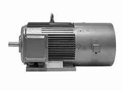 低壓變頻電動(dòng)機(jī)