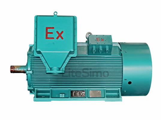 高壓防爆三相異步電動機(jī)